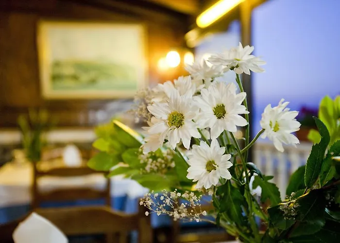 酒店 凯梅特酒店 2*