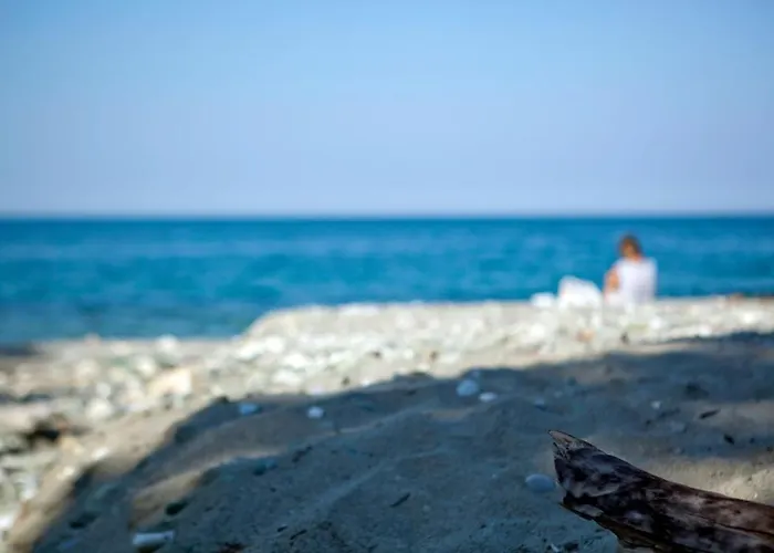 凯梅特酒店 酒店 帕拉塔蒙